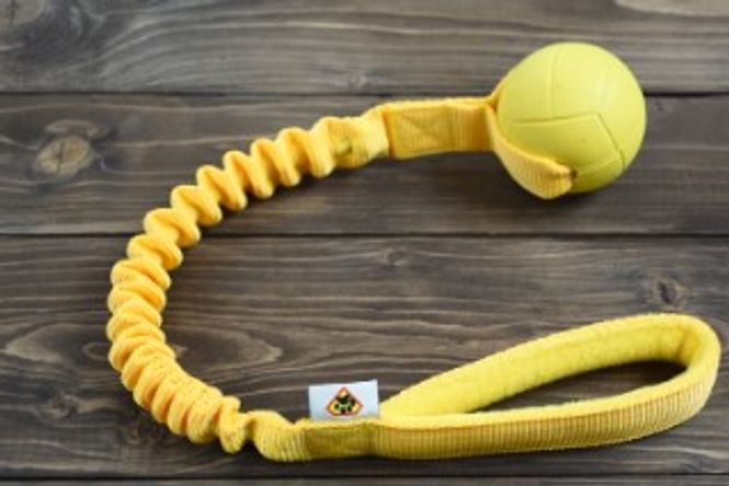 Hovedbilde Dog's Craft Hoko Basic med ball Large