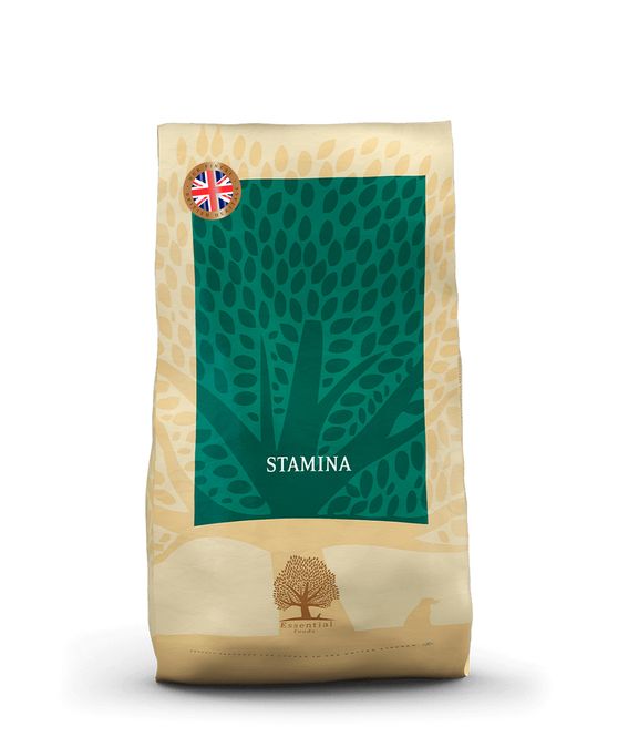 Hovedbilde Essential Stamina