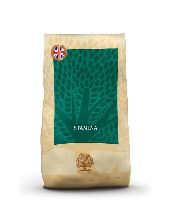 Essential Stamina